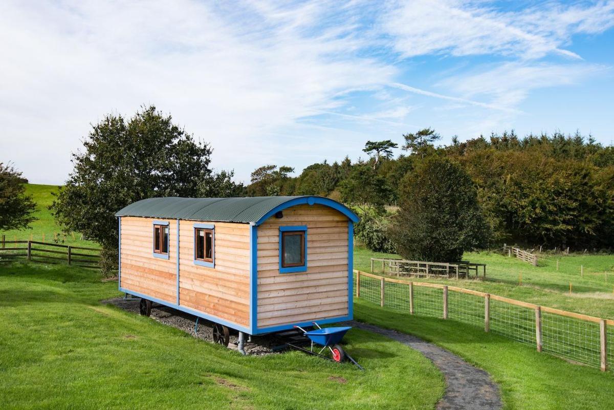 Cow Parsley Shepherd'S Hut Berwick Upon Tweed Екстериор снимка