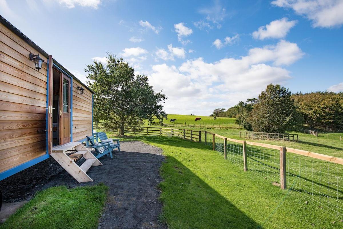 Cow Parsley Shepherd'S Hut Berwick Upon Tweed Екстериор снимка