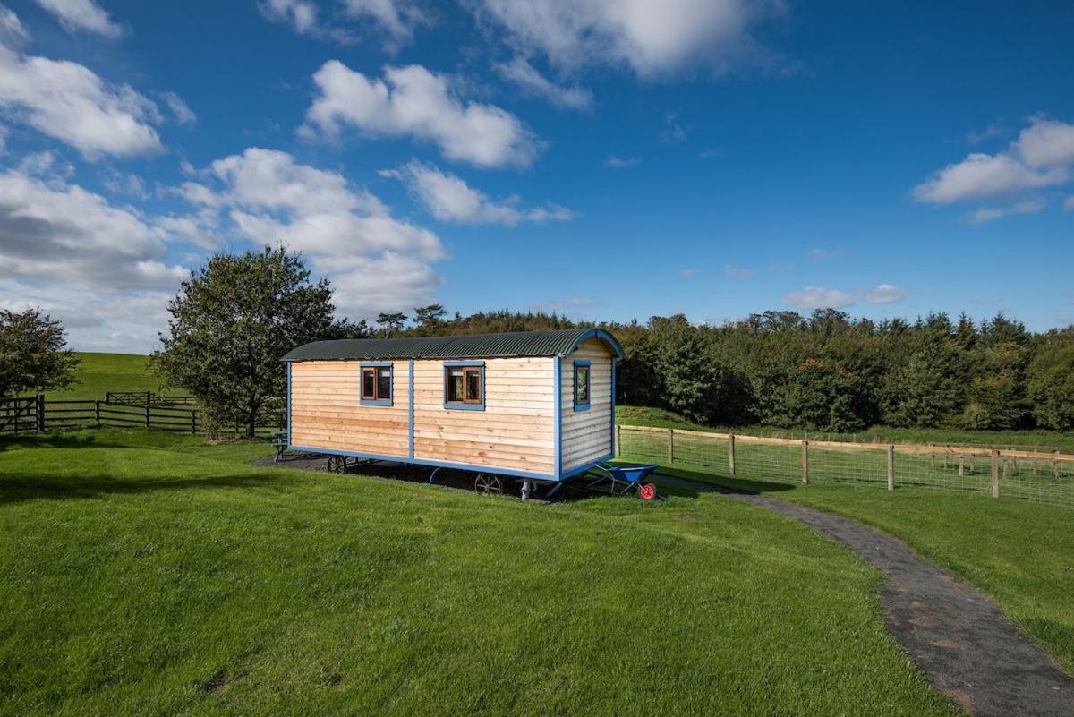 Cow Parsley Shepherd'S Hut Berwick Upon Tweed Екстериор снимка
