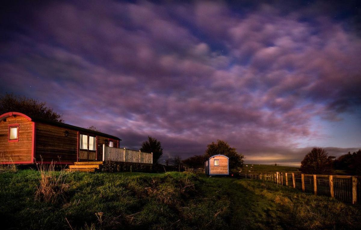 Cow Parsley Shepherd'S Hut Berwick Upon Tweed Екстериор снимка